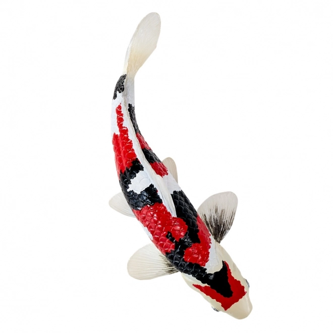 Mojo Karpfen Koi Showa Sanshoku