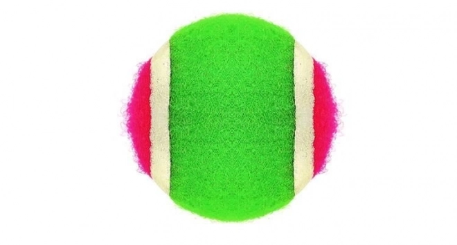 Klettspiel Set mit Schlägern und Ball