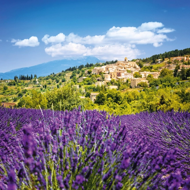 Notizkalender Provence 2026