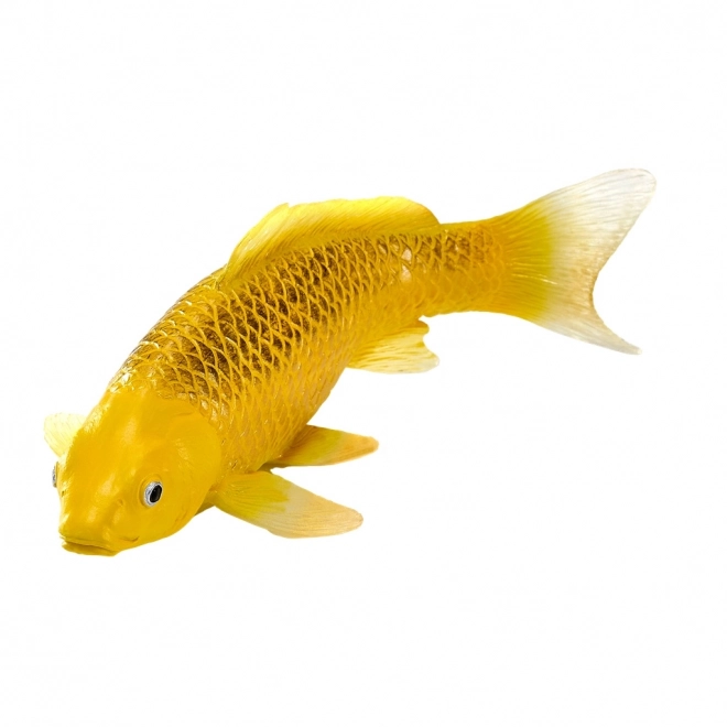 Mojo Karpfen Koi Matsuba