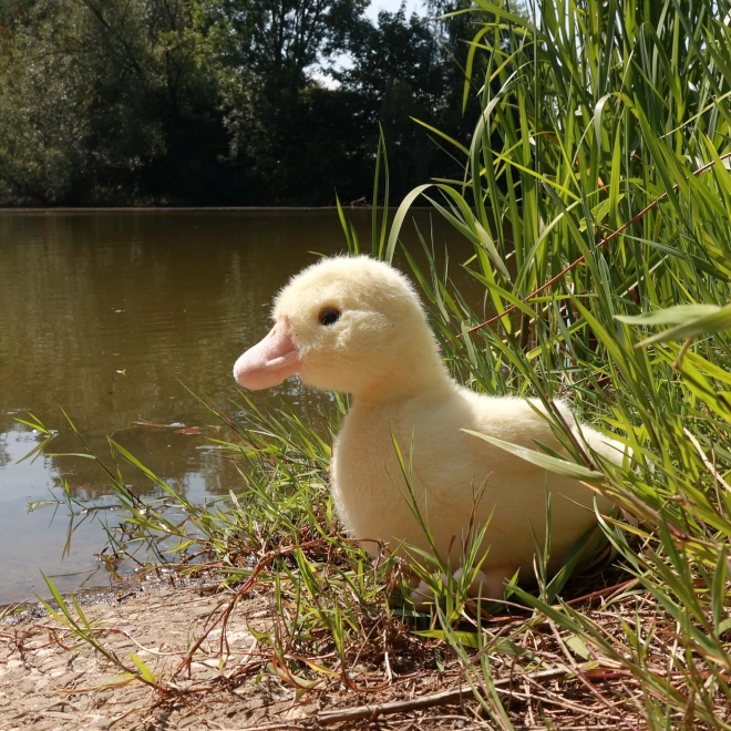 Plüschente 24 cm umweltfreundlich