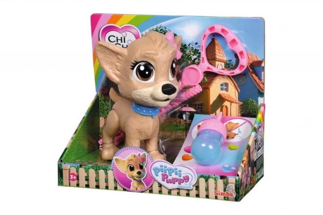 CCL Chihuahua Hund Pii Pii