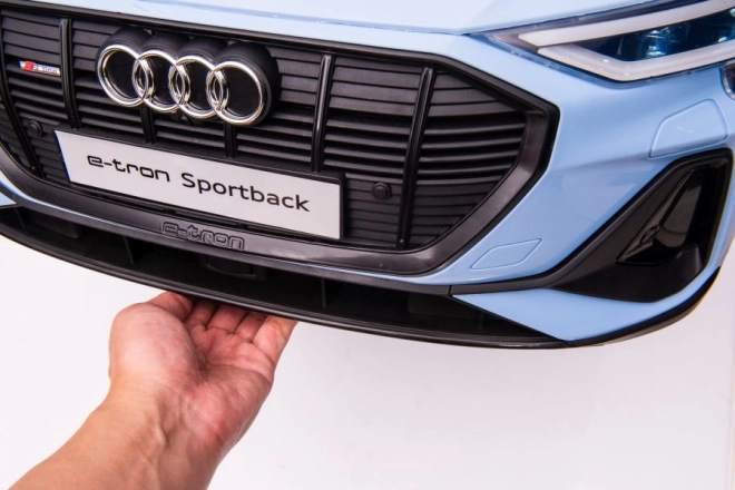 Audi E-Tron Autobatterie Blau QLS-6688