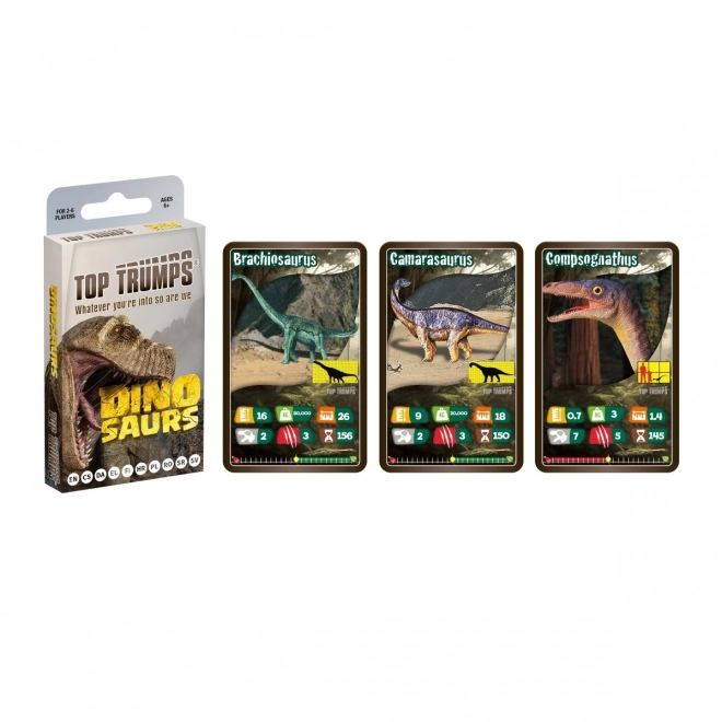 Dinosaurier Kartenspiel