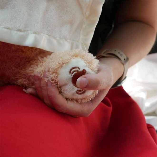 Interaktiver Teddybär
