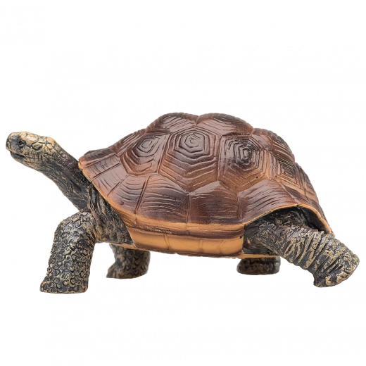 Robuster und unbedenklicher Kunststoff