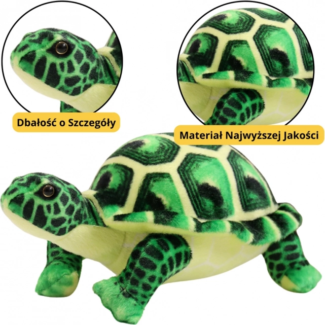 Grüne Plüschschildkröte Spielzeug 25cm
