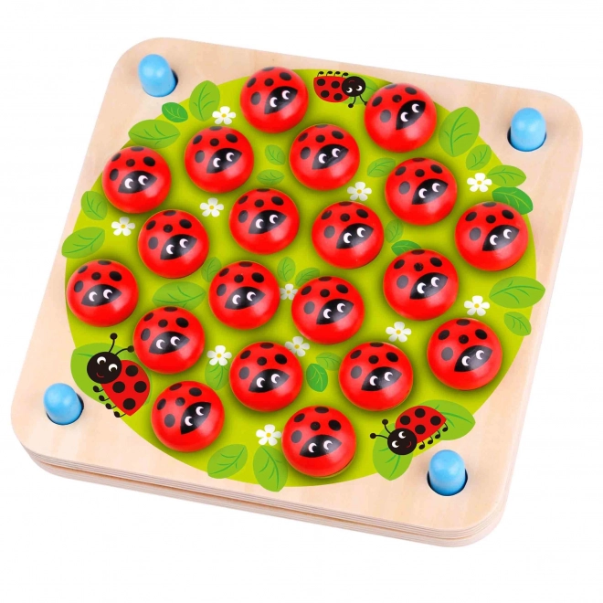 Woopie Green Holz Memory-Spiel Bilden Sie den erinnerungsspaß mit marienkäfer
