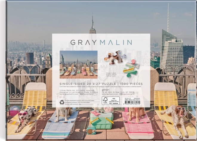 Galison Puzzle Gray Malin: New York 1000 Teile