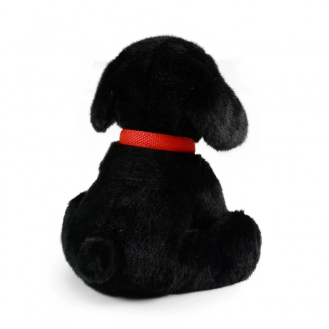 Plüsch Labrador Schwarz mit Leine