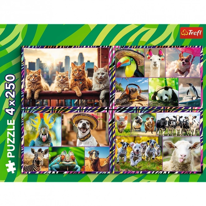 Puzzleset 4x250 Lustige Tiere