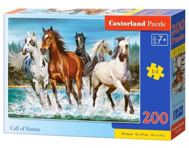 Puzzle der Naturzauber 200 Teile