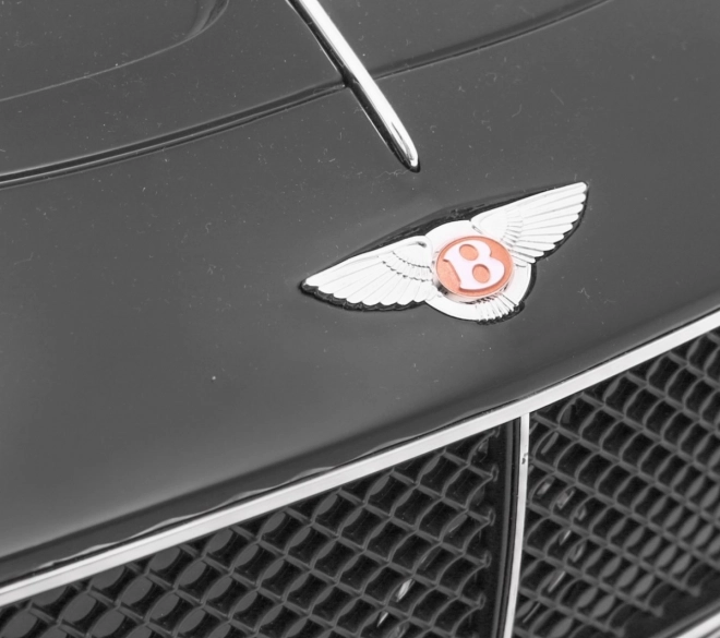 Elektrisches Auto Bentley EXP 12 Lackiert Schwarz