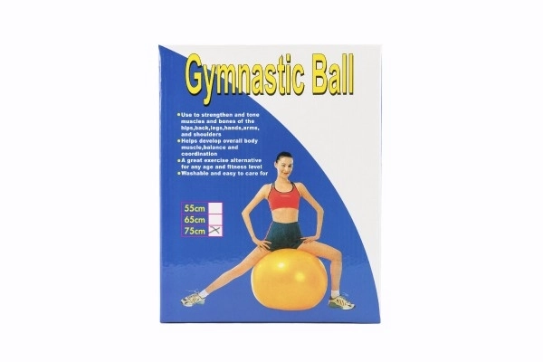 Gymnastikball 75cm für Rehabilitation und Entspannung