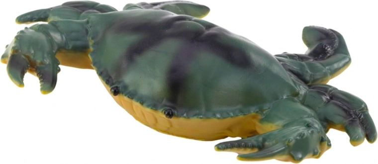 Realistische Farben und verschiedene Arten von Meerestieren