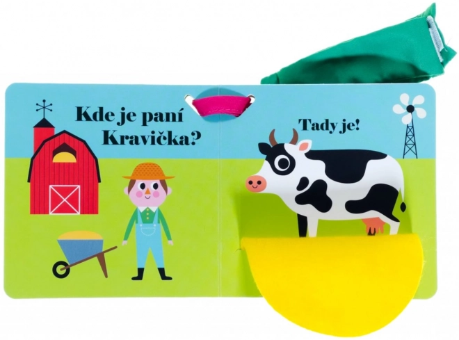 Wo ist Frau Huhn? Kinderwagenbuch
