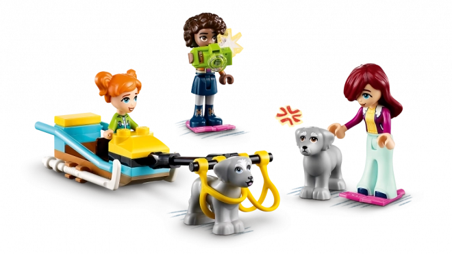 Lego Friends Abenteuer im Iglu