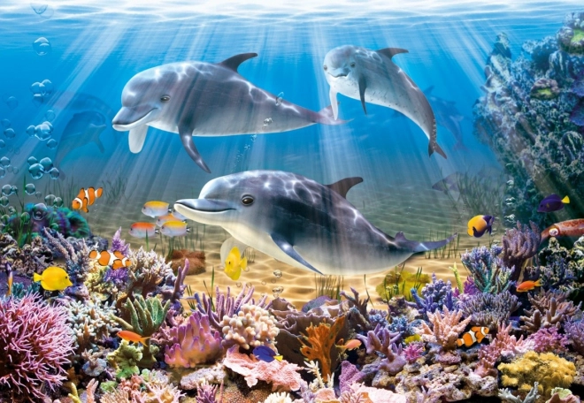 Puzzlespiel Delfine unter Wasser mit 500 Teilen