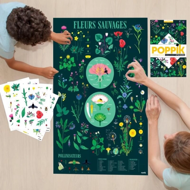 Bildungsaufkleber-Poster Botanik