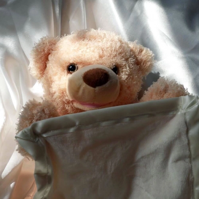 Interaktiver Teddybär