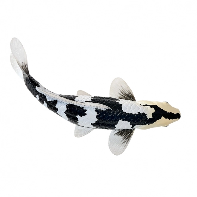 Mojo Karpfen Koi Shiro Utsuri