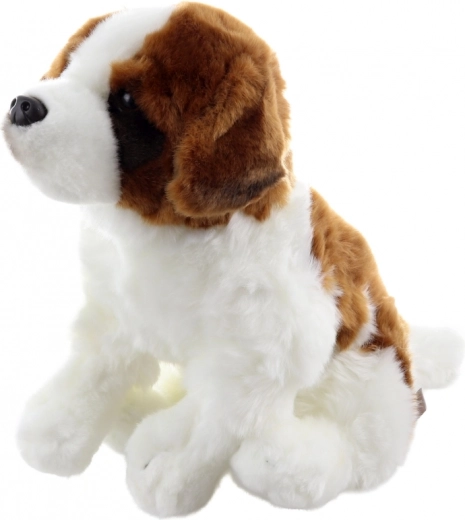 Sicher ab der Geburt und umweltschonend