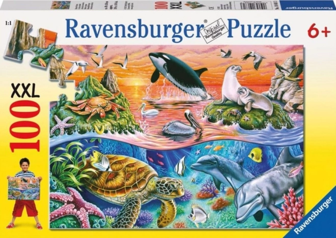 Ravensburger Puzzle Wunderschöner Ozean XXL