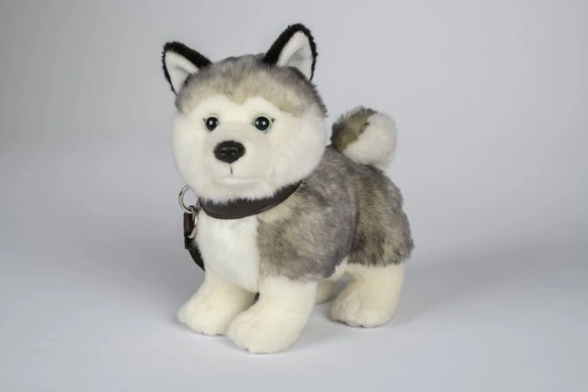 Plüsch Husky mit Leine 25 cm