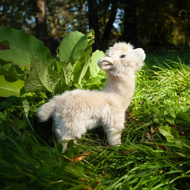 Stehende Plüsch-Lama Alpaka 23 cm von Rappa