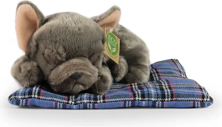 ECO-FRIENDLY Materialien