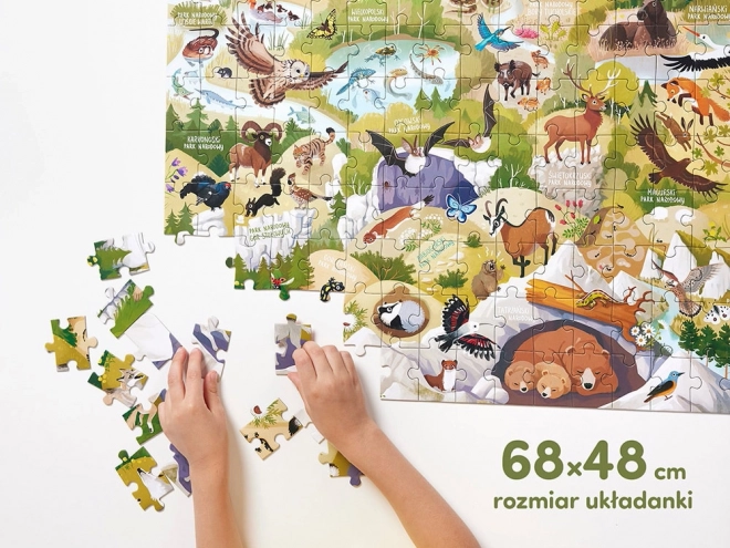 CzuCzu Dzikie Puzzle Nationalparks 6+