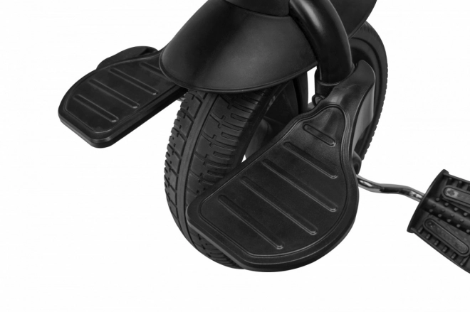 Wandelbarer Dreirad Buggy Lionelo Haari