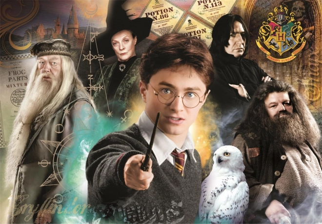 Puzzle 1000 Teile Compact Harry Potter Clementoni