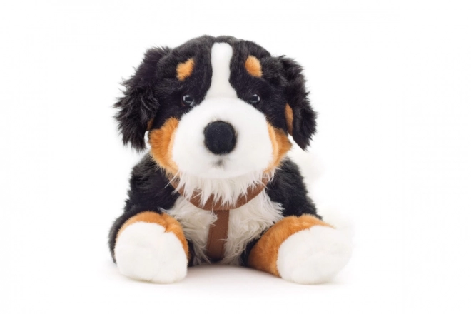 Plüsch Berner Sennenhund 65 cm