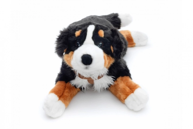 Plüsch Berner Sennenhund 65 cm