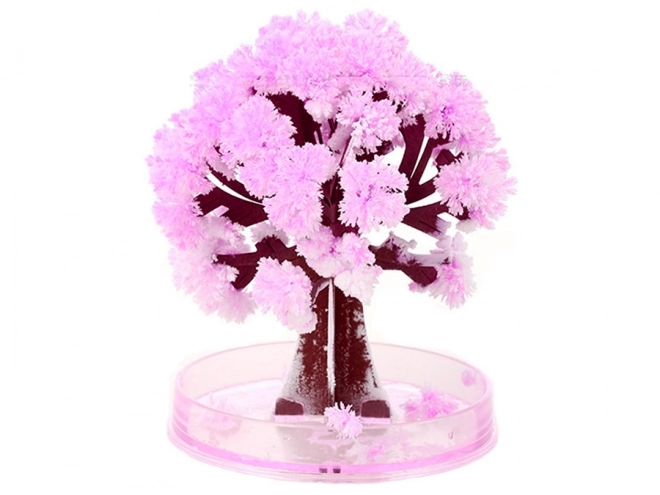 Magischer Sakura-Baum Geschenkidee