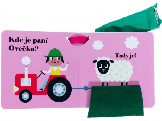 Wo ist Frau Huhn? Kinderwagenbuch