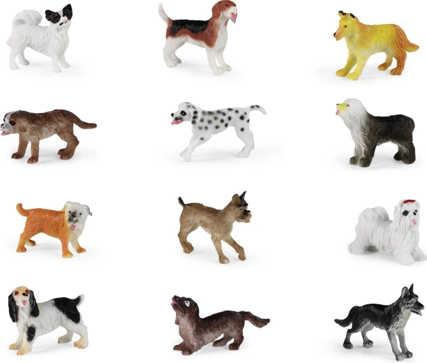 12 verschiedene Hunderassen in einem Set