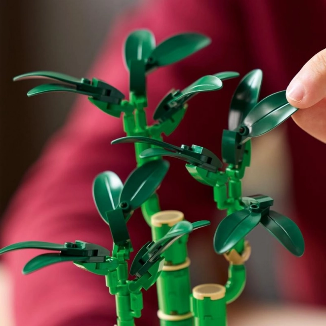 Dekorative LEGO Botanicals Dracena Sanderiana