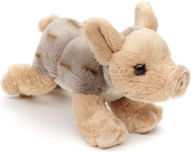 Leicht und ideal für unterwegs