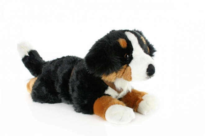 Plüsch Berner Sennenhund 65 cm