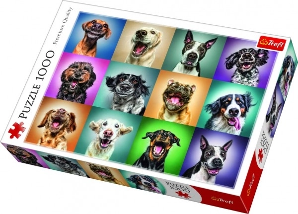 Lustige Hunde Porträts Puzzle