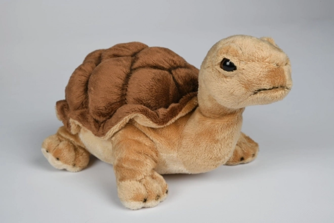 Plüschschildkröte 32 cm