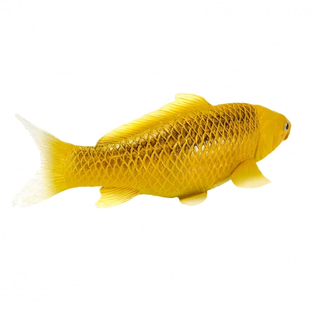 Mojo Karpfen Koi Matsuba