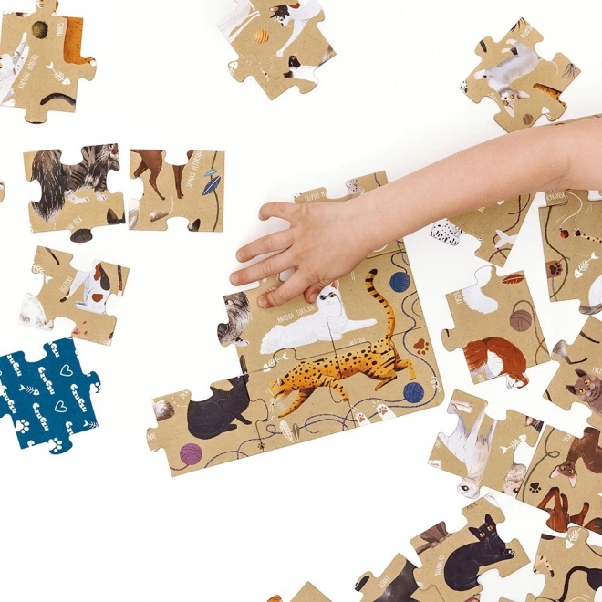 Puzzle 60 Teile Puzzlove - Katzen