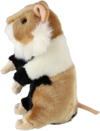 Realistische Details für die Fantasie