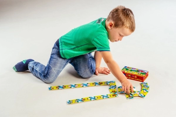 Mein Erstes Domino Tiere Holzspiel