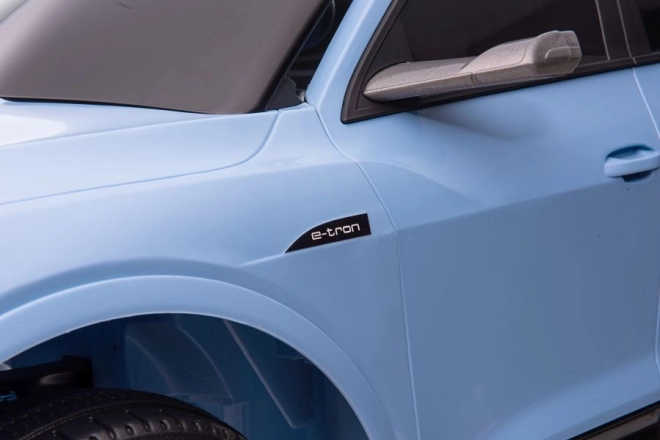 Audi E-Tron Autobatterie Blau QLS-6688