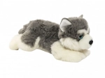 Plüschhund Husky für Kinder