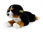 Plüsch Berner Sennenhund liegend 61 cm umweltfreundlich
